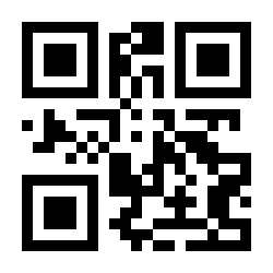 QR Code Undang-undang Republik Indonesia nomor 22 tahun 2007 tentang penyelenggaraan pemilihan umum